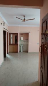 3 BHK Apartment