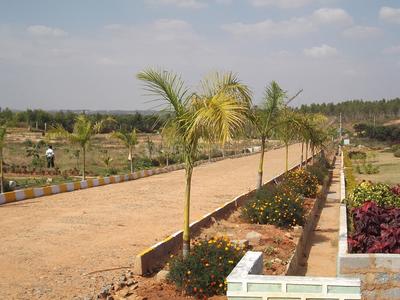 Residential Plot