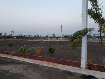 216 Sq.ft Residential Plot for Sale in Padmavathi Nagar, Rajahmundry