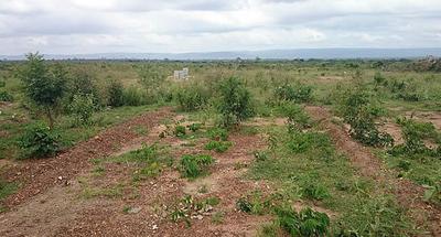 Gallery Cover Image of Sq.ft Residential Plot for buy in DLF Phase 1 for 39581500