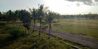 Residential Plot