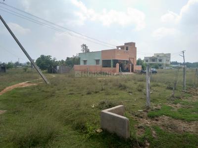Residential Plot