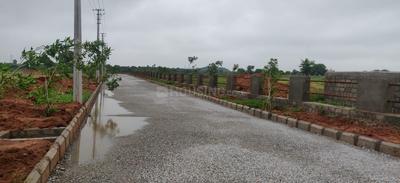 Residential Plot