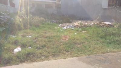 Residential Plot