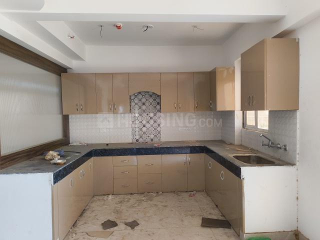 Divyansh Onyx - Image 15