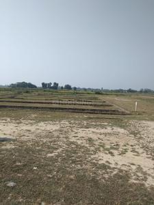 Gallery Cover Image of Sq.ft Residential Plot for buy in Naubasta for 700000