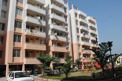 3 BHK Apartment