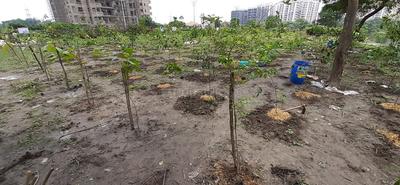Gallery Cover Image of Sq.ft Residential Plot for buy in Baruipur for 2400000