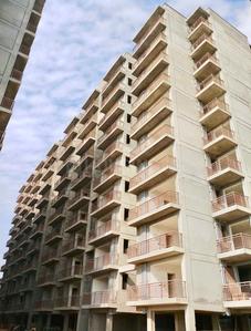 1 BHK Apartment