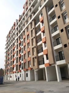 3 BHK Apartment
