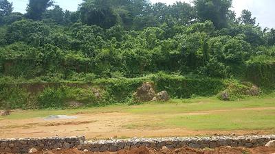 Gallery Cover Image of Sq.ft Residential Plot for buy in Mannuthy for 51150000
