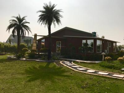 Residential Plot