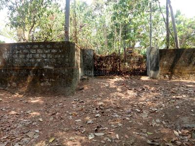 Gallery Cover Image of Sq.ft Residential Plot for buy in Thrippunithura for 4812500