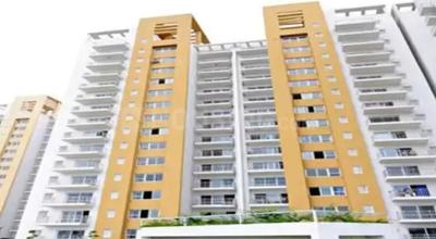 3 BHK Apartment
