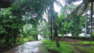 Gallery Cover Image of Sq.ft Residential Plot for buy in Chettupuzha for 55000000