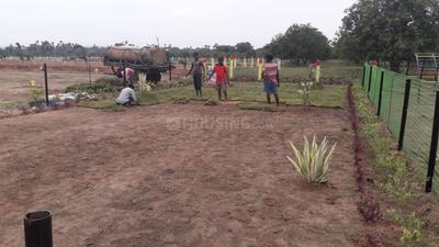 Gallery Cover Image of Sq.ft Residential Plot for buy in PNT Colony for 350000