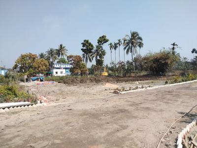 Gallery Cover Image of Sq.ft Residential Plot for buy in Shyamnagar for 800000