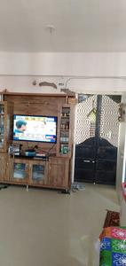 1 RK Apartment