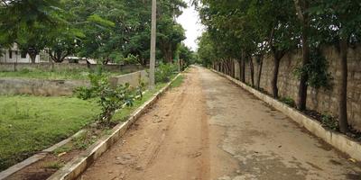 Residential Plot