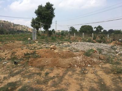 Residential Plot