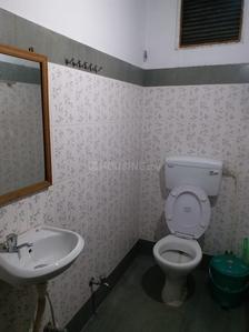 Common Bathroom Image of City P. G And Hostel in Raja Bazar