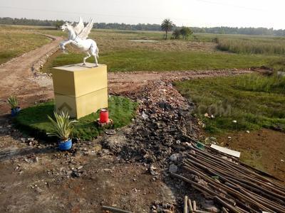 Gallery Cover Image of Sq.ft Residential Plot for buy in Khariberia for 498001