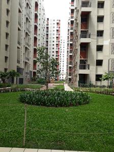 Gallery Cover Image of 1270 Sq.ft 3 BHK Apartment for buy in Palava Phase 1 Nilje Gaon for 6900000