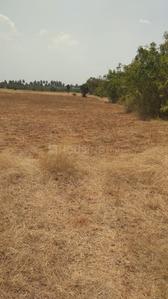Gallery Cover Image of Sq.ft Residential Plot for buy in Avinashi Taluk for 52500000