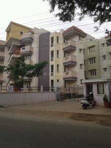 3 BHK Apartment