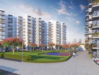 3 BHK Apartment