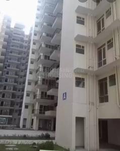 1 BHK Apartment