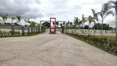 Gallery Cover Image of Sq.ft Residential Plot for buy in Uruli Kanchan for 2116800