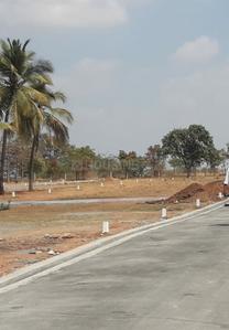 Residential Plot