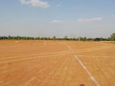 Residential Plot