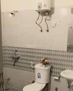 Common Bathroom Image of Shyam Vandana PG in Sector 26