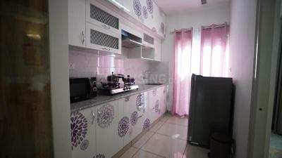1 BHK Apartment