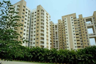3 BHK Apartment