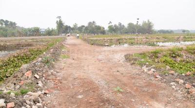 Residential Plot