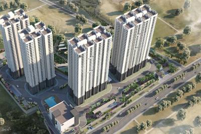 3 BHK Apartment