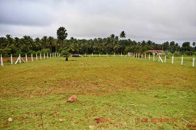 Gallery Cover Image of Sq.ft Residential Plot for buy in Othakalmandapam for 6000000