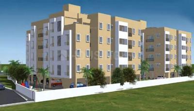 3 BHK Apartment