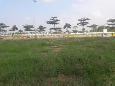 Gallery Cover Image of Sq.ft Residential Plot for buy in Bhanur for 3841000