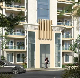 3 BHK Apartment