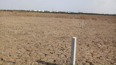 Gallery Cover Image of Sq.ft Residential Plot for buy in Uran for 450000