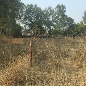 Residential Plot
