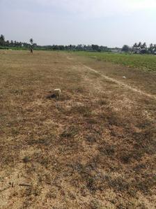 Gallery Cover Image of Sq.ft Residential Plot for buy in Annur for 3300000