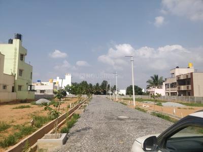 Residential Plot
