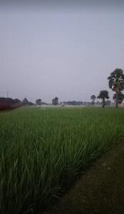 Residential 1200 Sqft Plot for sale at Rajgir, Nalanda | Property ...