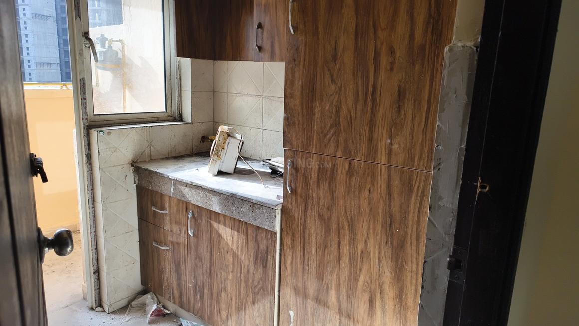 Logix Blossom Zest - Image 15