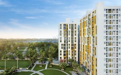 3 BHK Apartment